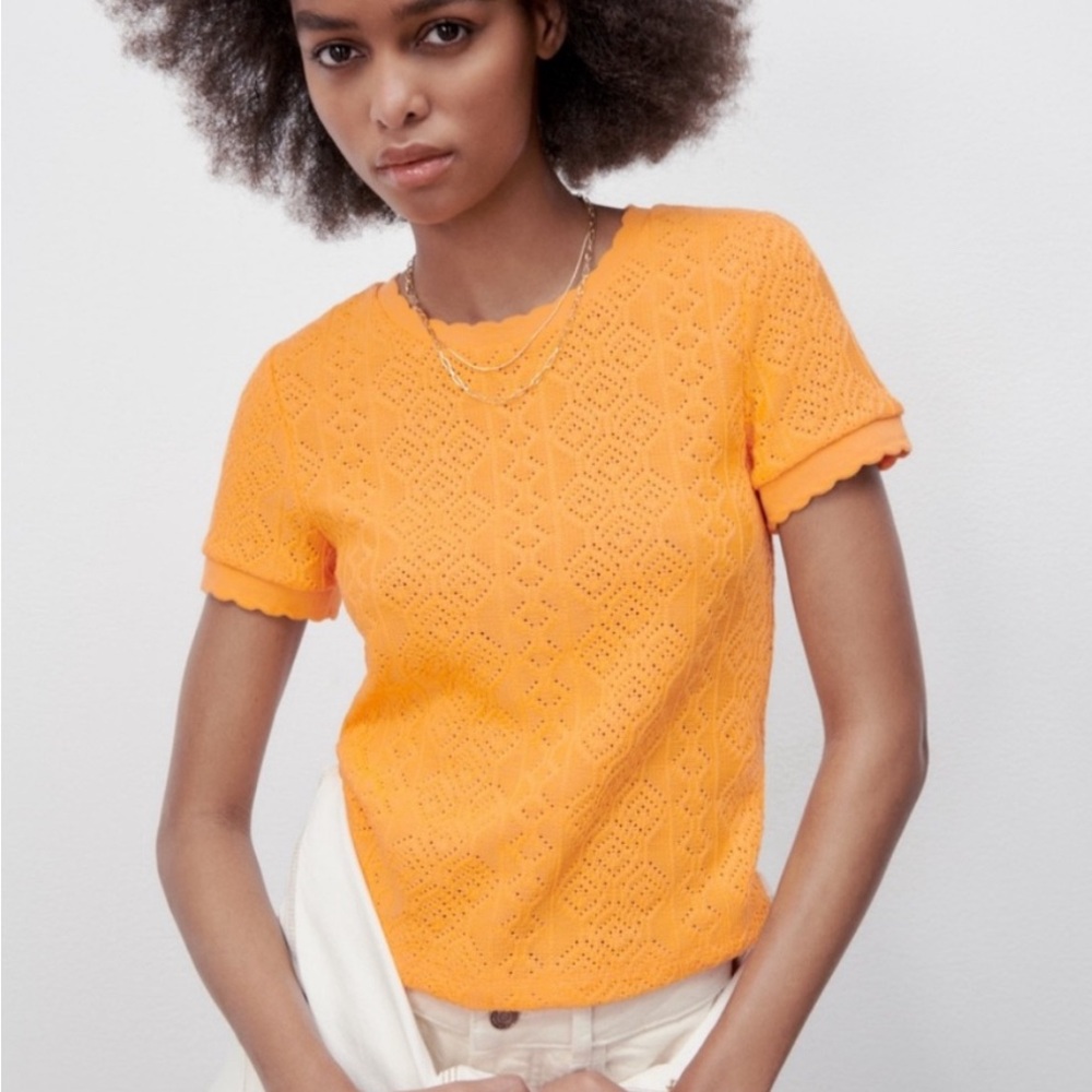 Zara pointelle top